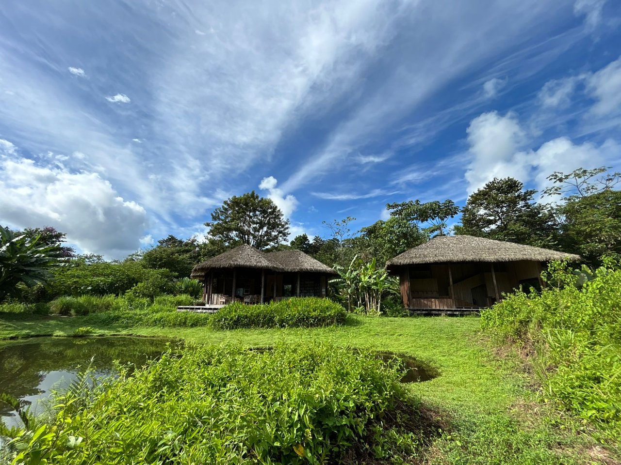 60 Acre Fully Sustainable and Impactful Conservation Initiative Near Golfito