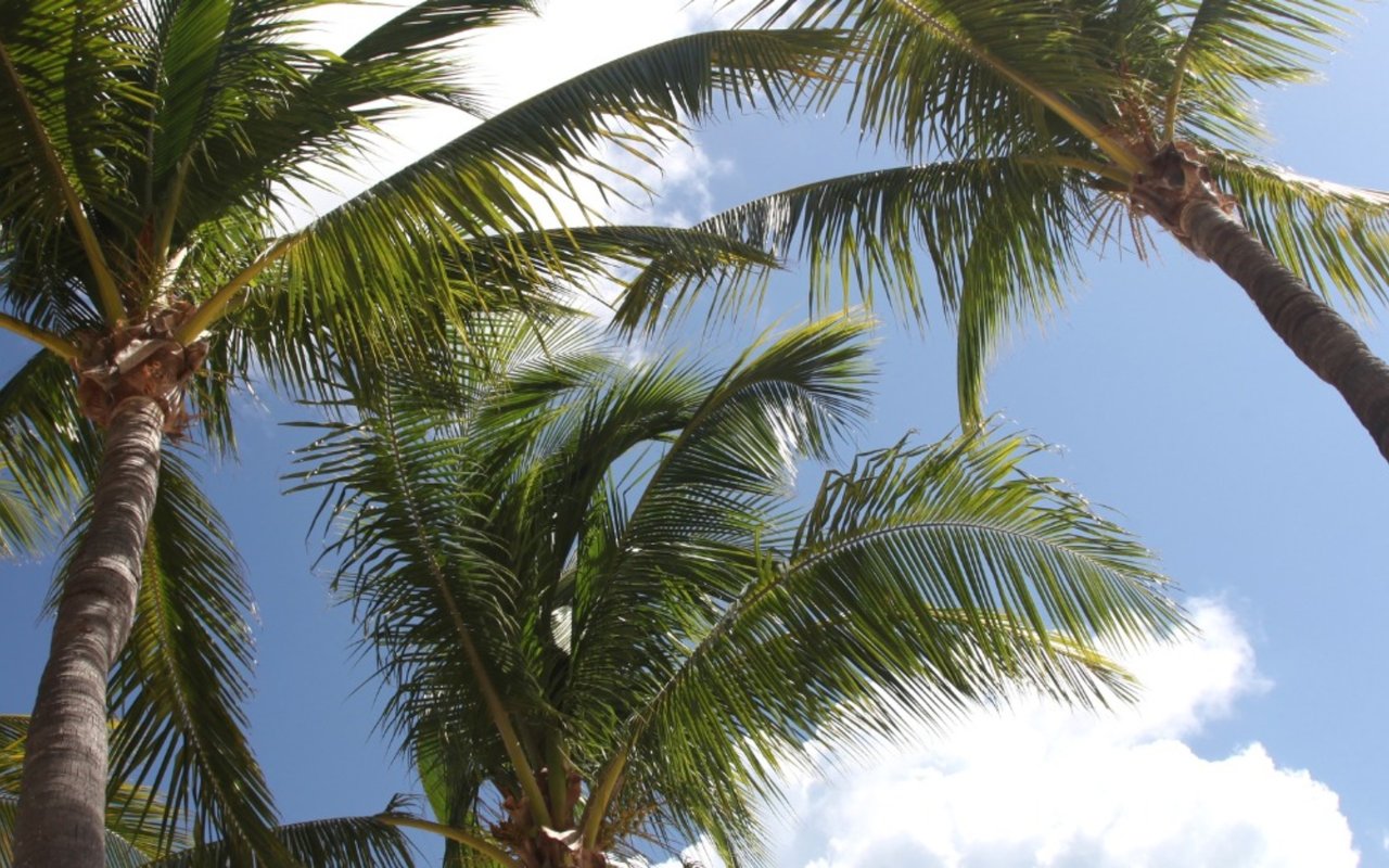 Why Buyers Have Set their Sights on Punta Gorda