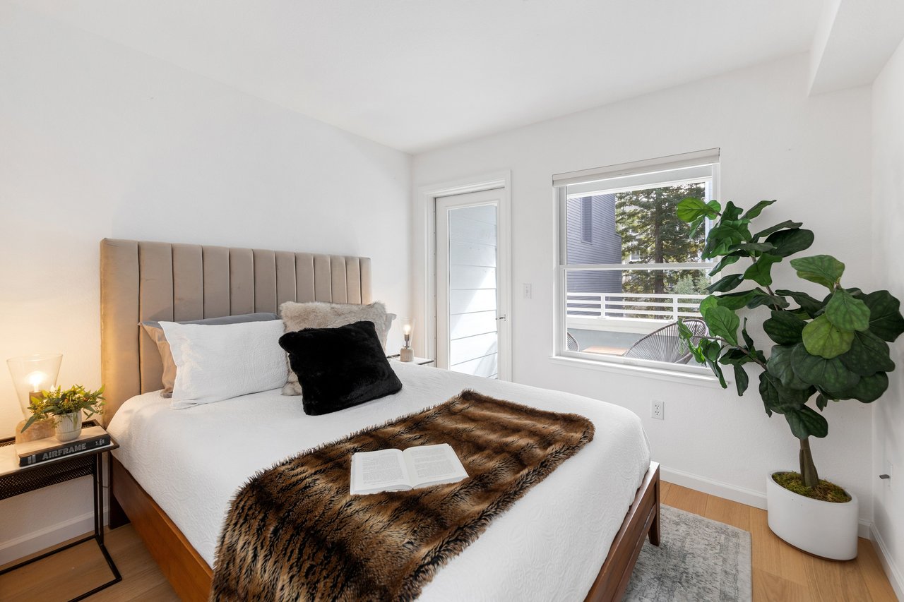 Modern Living in Lower Pacific Heights