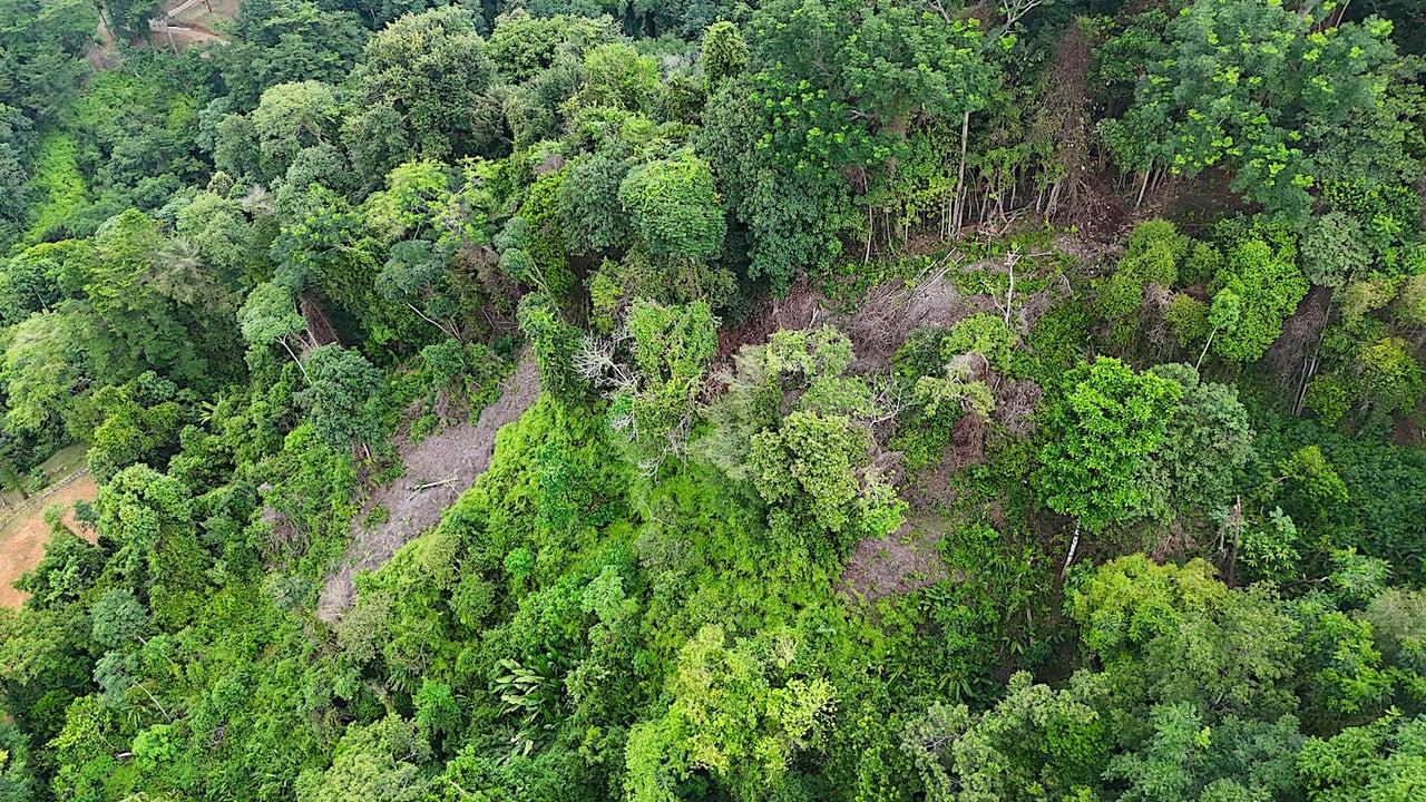 UVITA LAND WITH MULTIPLE BUILDING PADS – 25 ACRES