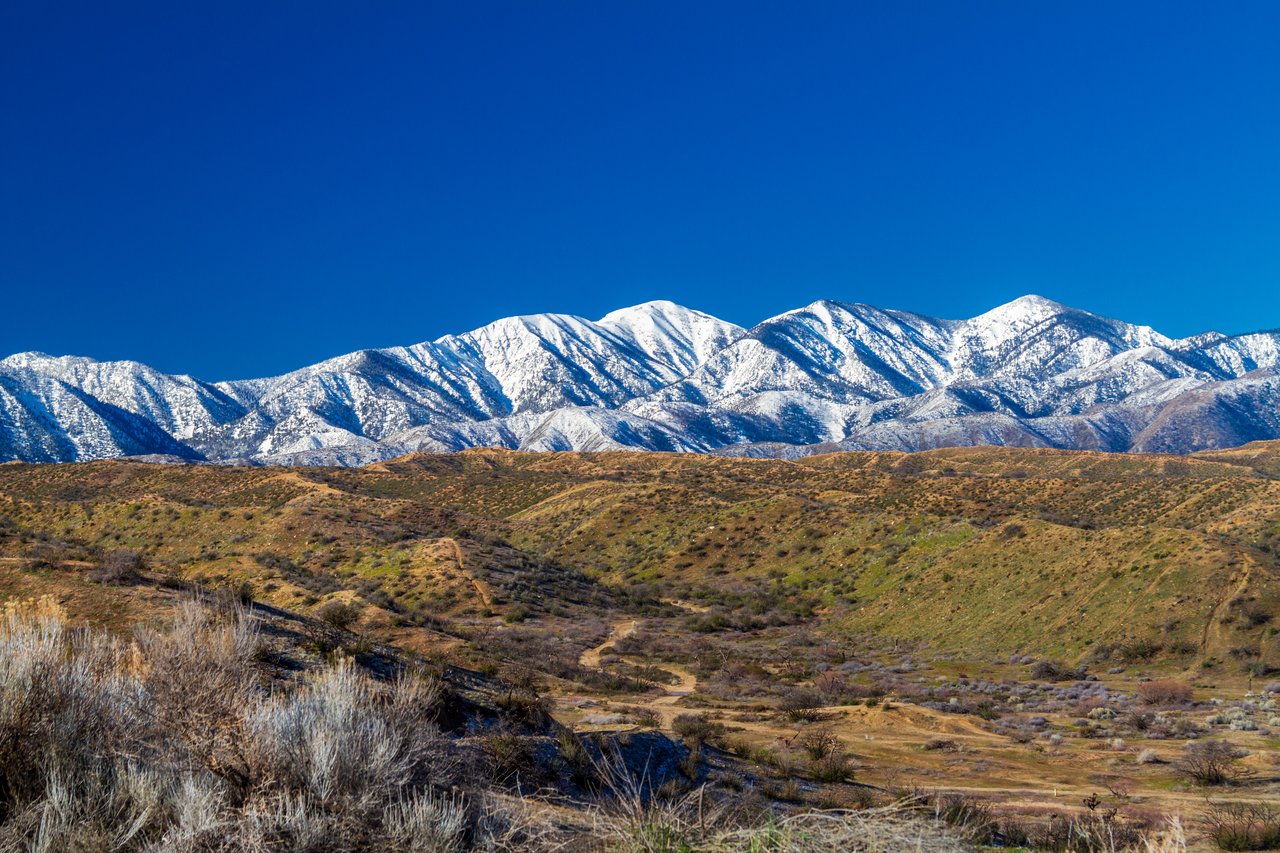 Hesperia