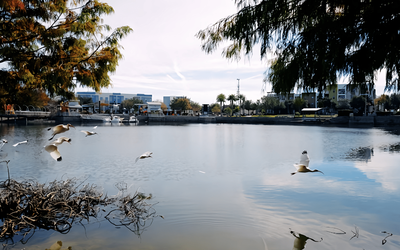 Things You Might Not Know About Oviedo