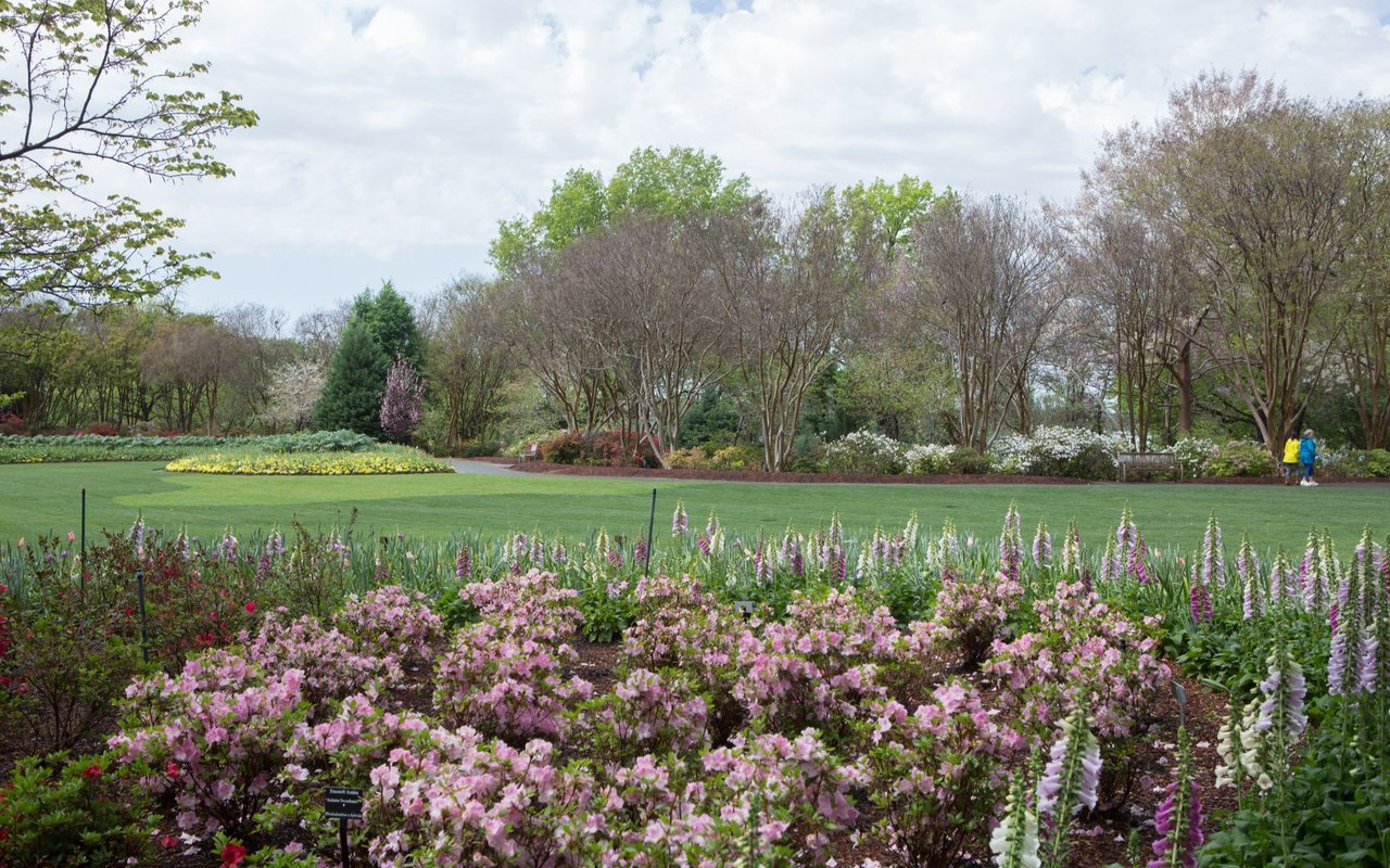 Lakewood