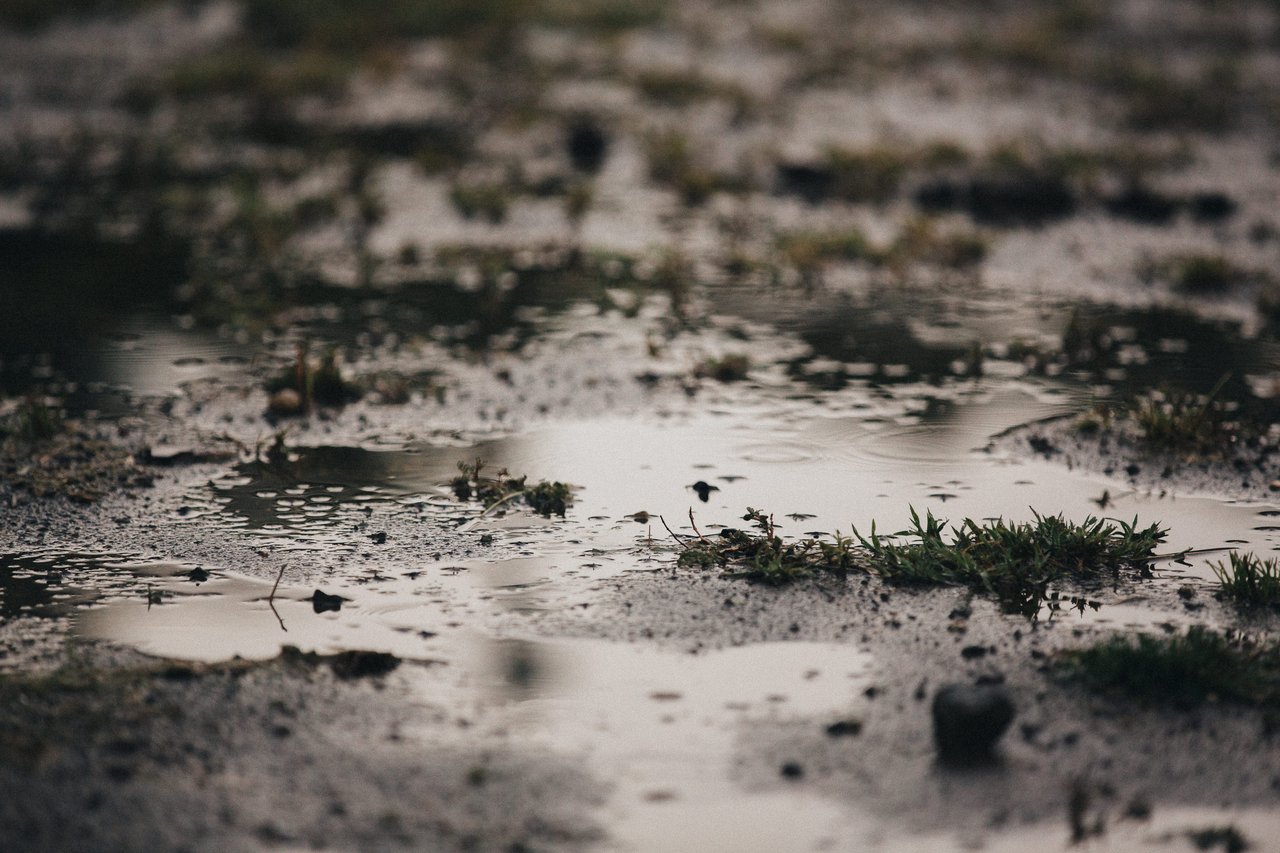  Punta Sabana & Mar Serena