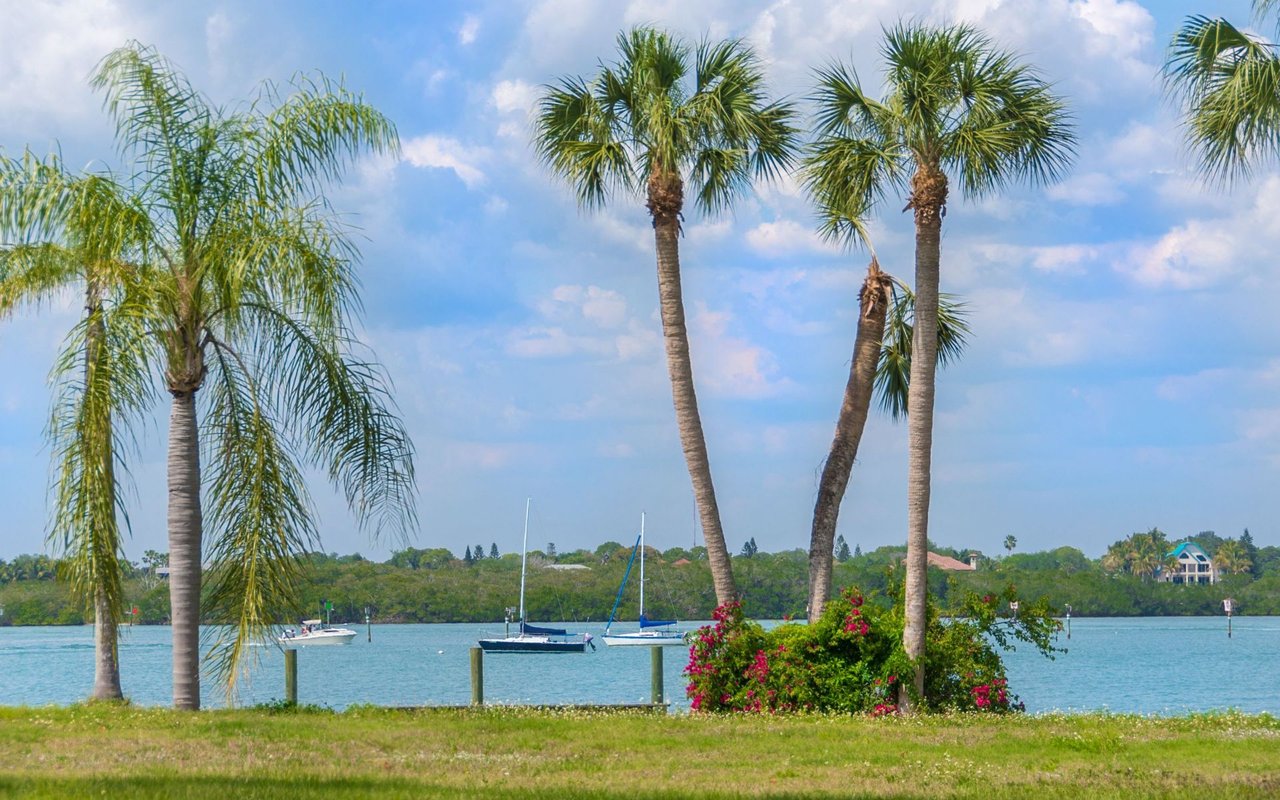 Palma Sola