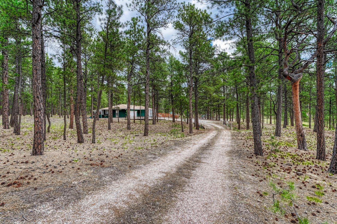9950 Pine Park Trail