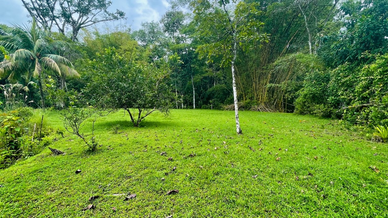 Income Property for Sale in Ojochal: A Legacy Acreage in the Heart of Town
