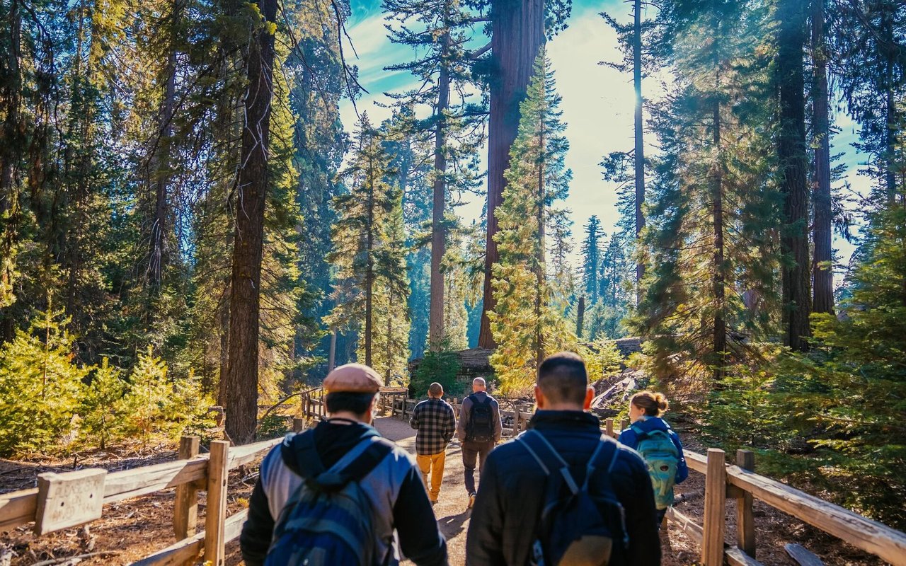 What’s New in Telluride