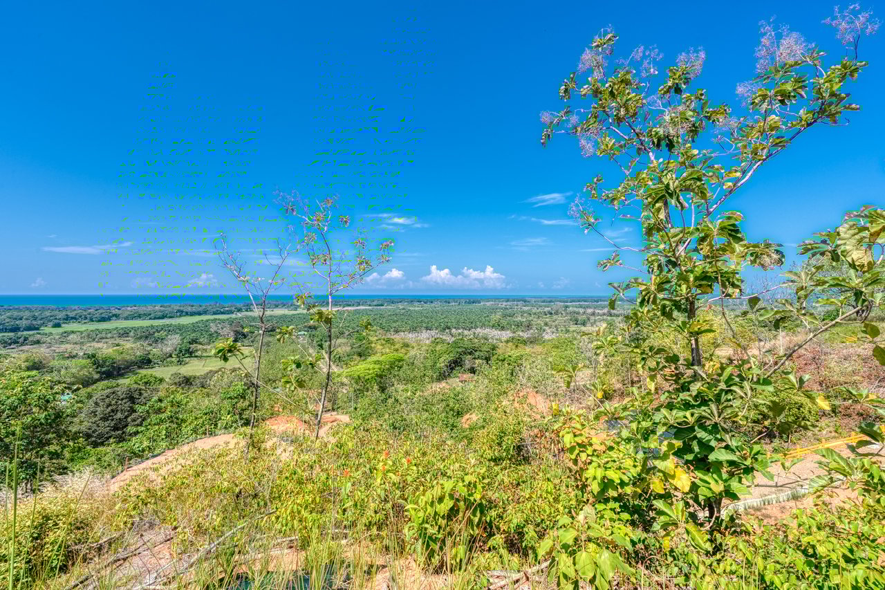 ¡New Gated Development in Matapalo - Ocean View and Flat Land, ready to build!