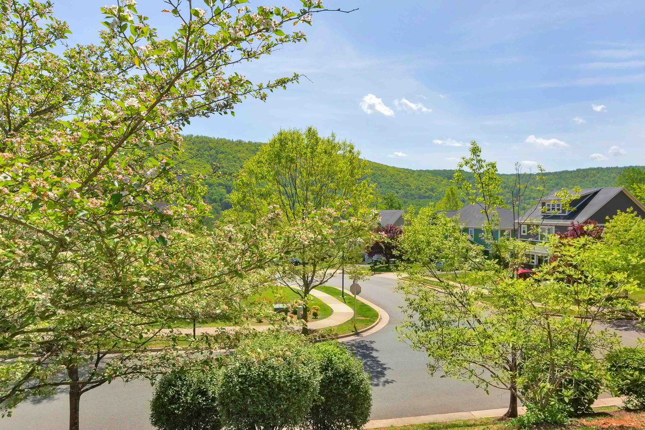 Avon Park
