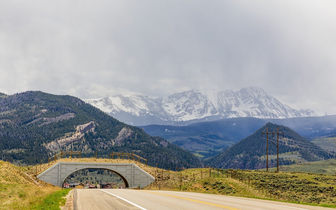 Highway and wildlife overpass leading toward forested hills and snow-covered Colorado peaks.