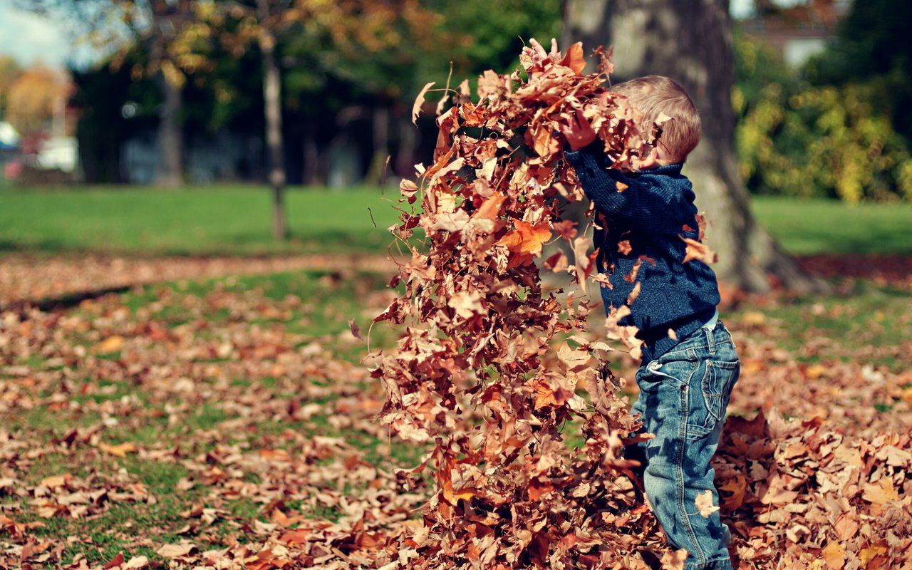 Every Home Needs to Prepare for Fall: Use This Checklist