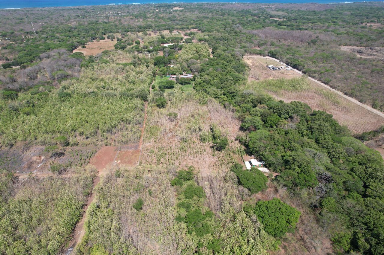 Flat Mixed-Use Land for Sale | Lot #8: Development Opportunity Near Avellanas
