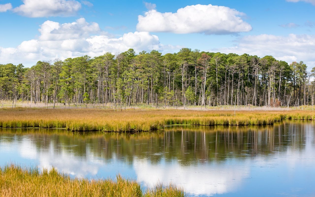 Dorchester County
