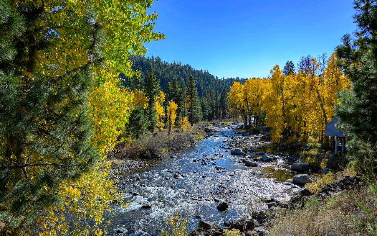 Truckee
