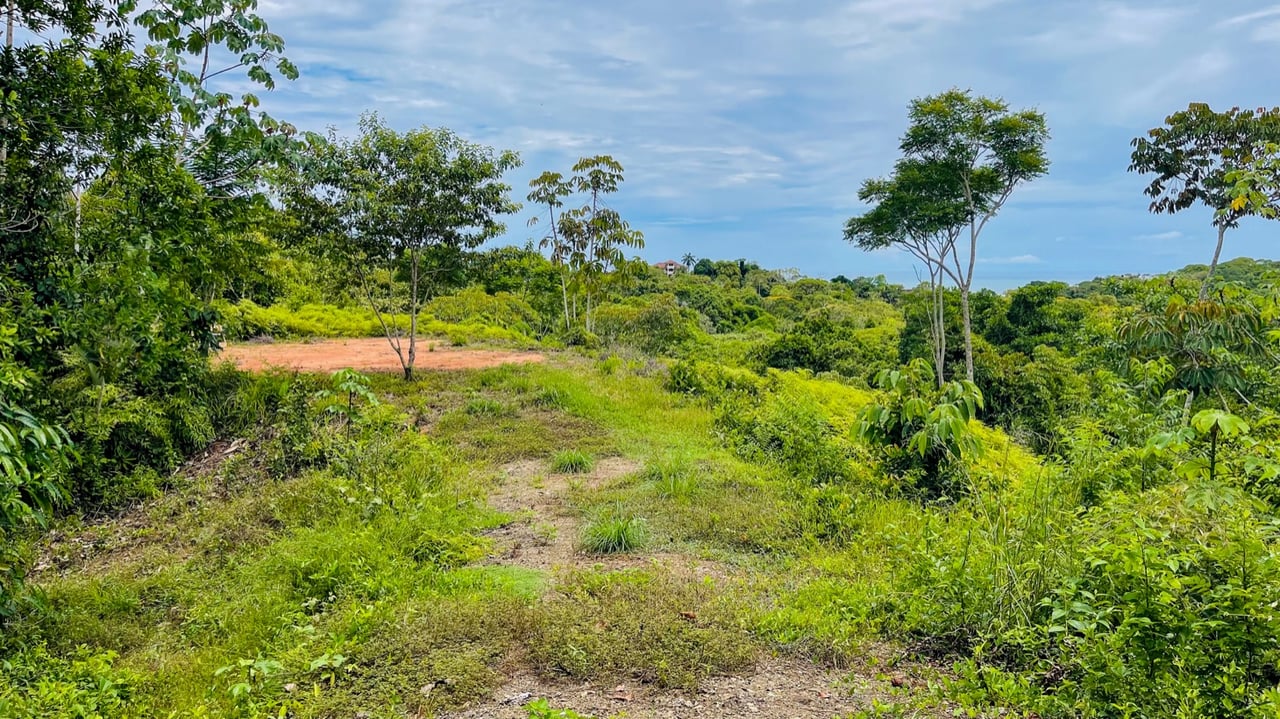 Spectacular Ocean View, Giant Resort Site, New Private Preserve Home perched on the Ojochal Front Ridge