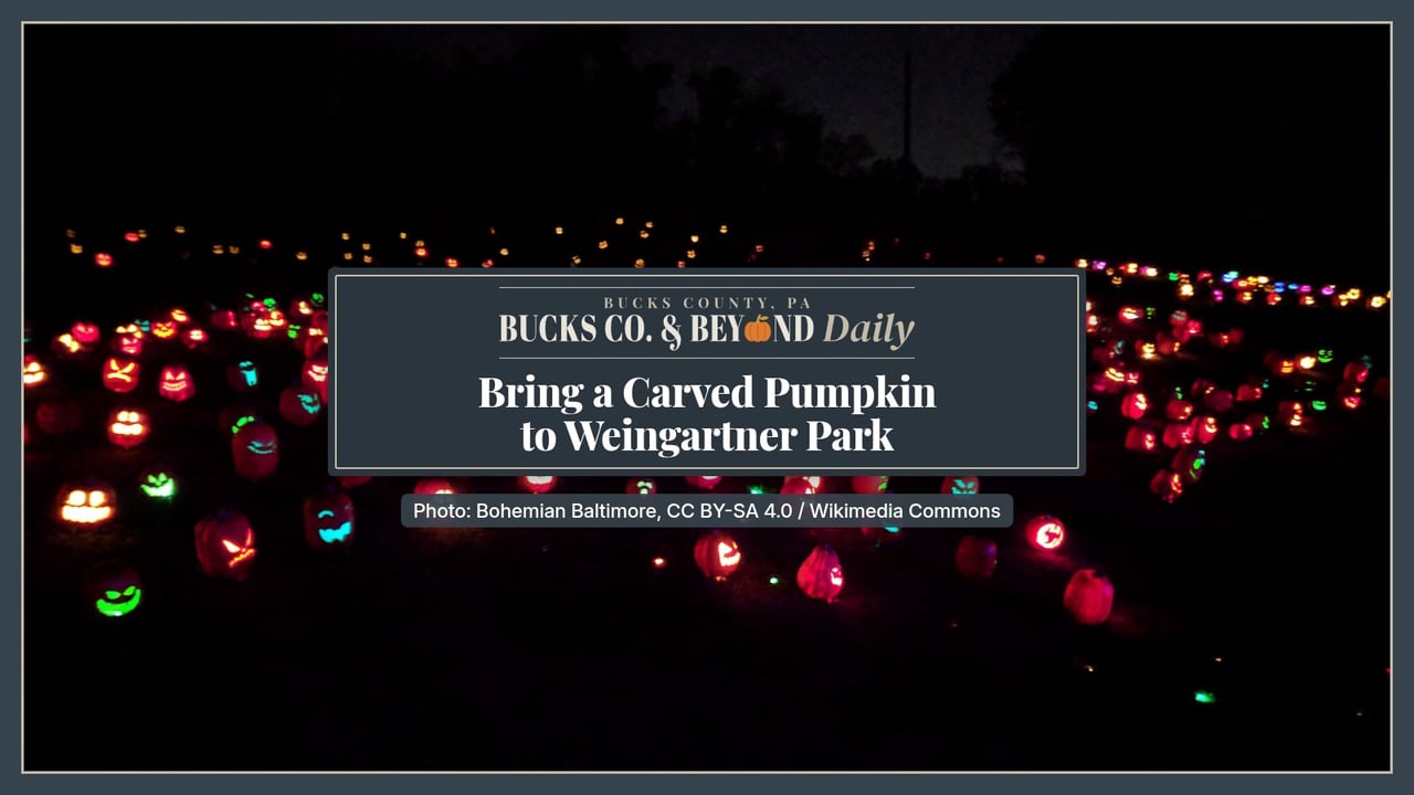 Rows of lit, carved jack-o'-lanterns glowing orange, red and green across a dark park lawn at The Glow in Lake Fairfax Park, Reston, Virginia.
