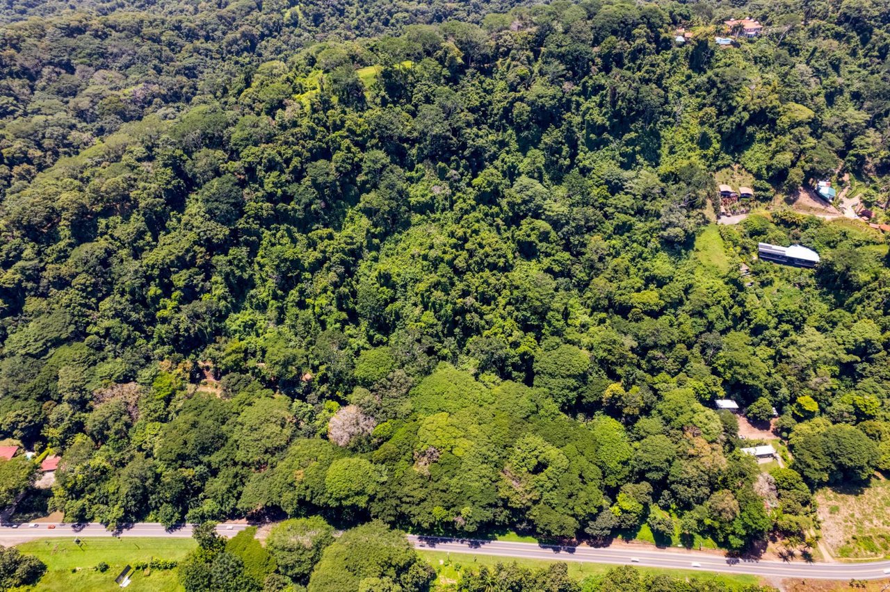 Titled Development Land, Dominical, Puntarenas