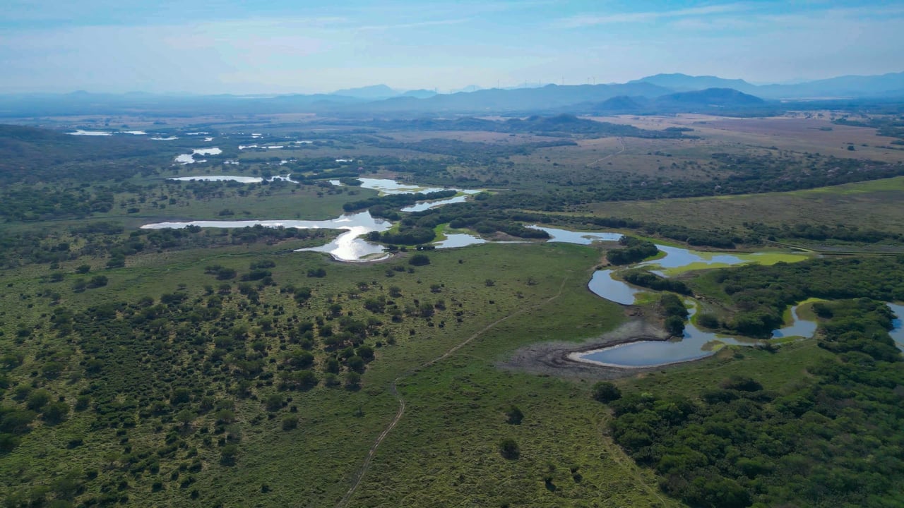 Prime 444-Acre Investment Opportunity 