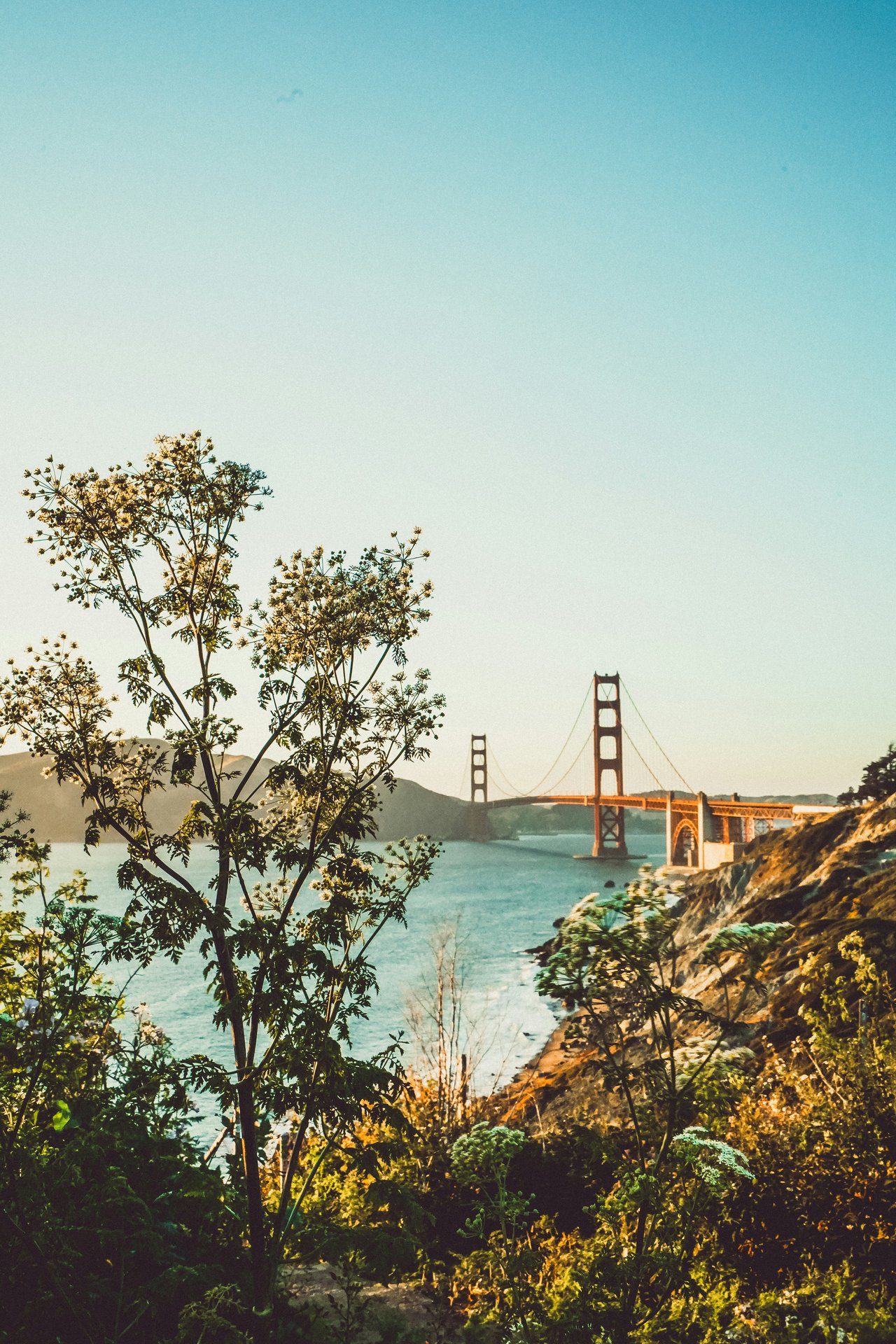 Unlocking Bay Area Hidden Gems: Beyond the Golden Gate