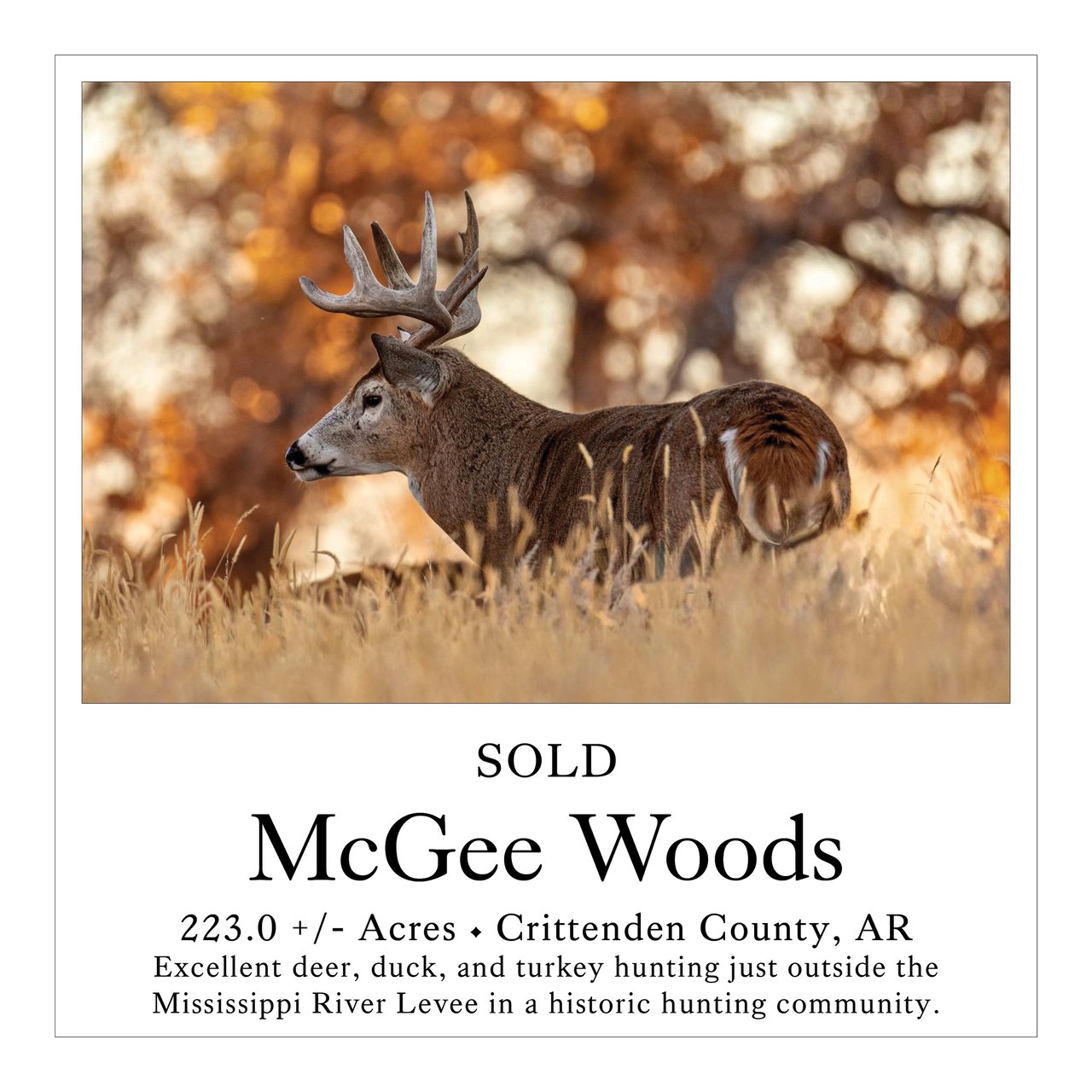 McGee Woods
