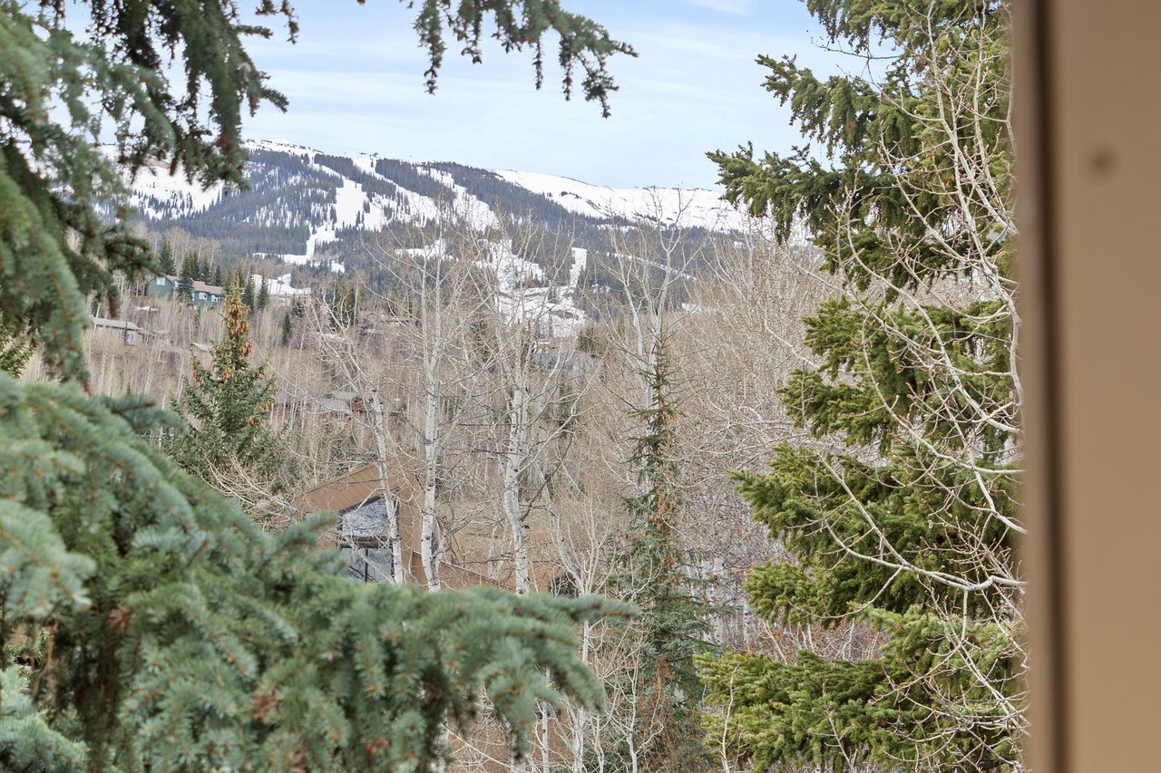 Your All-Season Retreat Minutes from Aspen