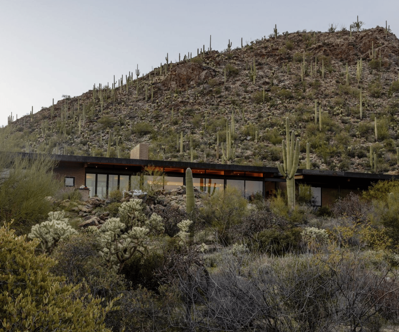 Wall Street Journal Article