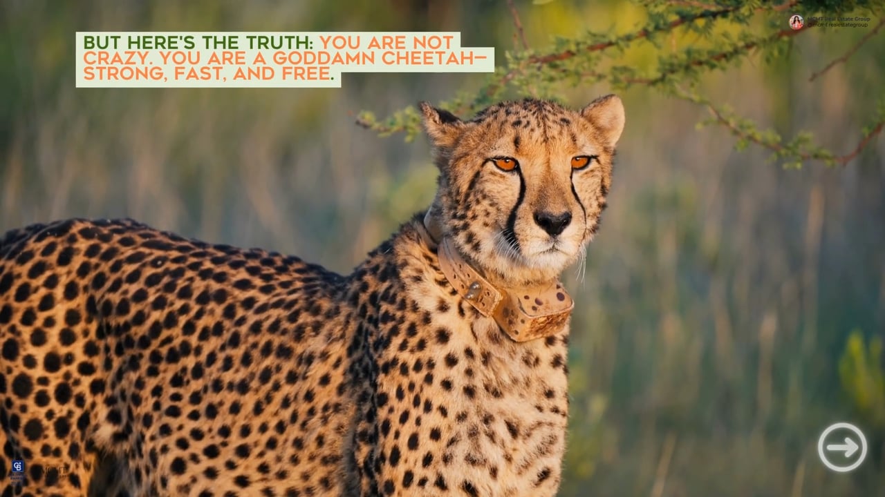 Unleash Your Inner Cheetah, Stop Holding Back & Own Your Power!