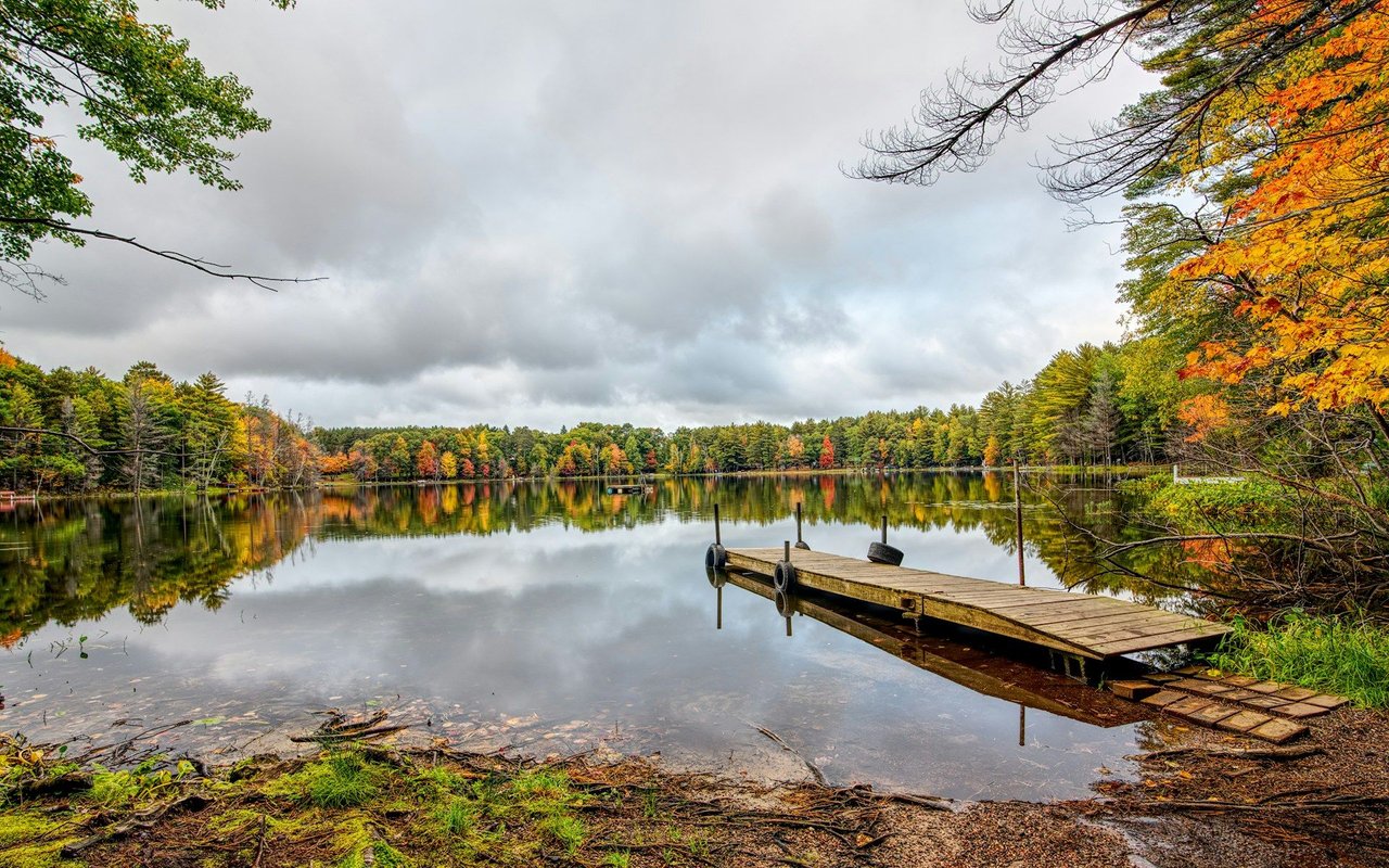 Forest Lakes