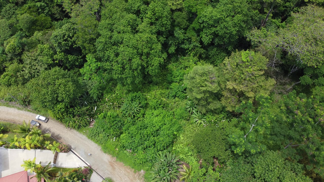 Ojochal - 1 Acre Ready To Build Jungle Lot, Ocean Breezes in Wildlife Corridore