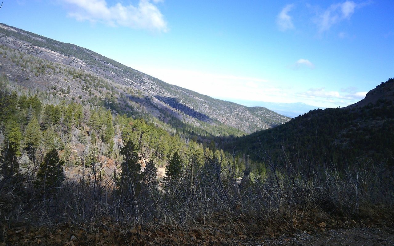Cedar Crest