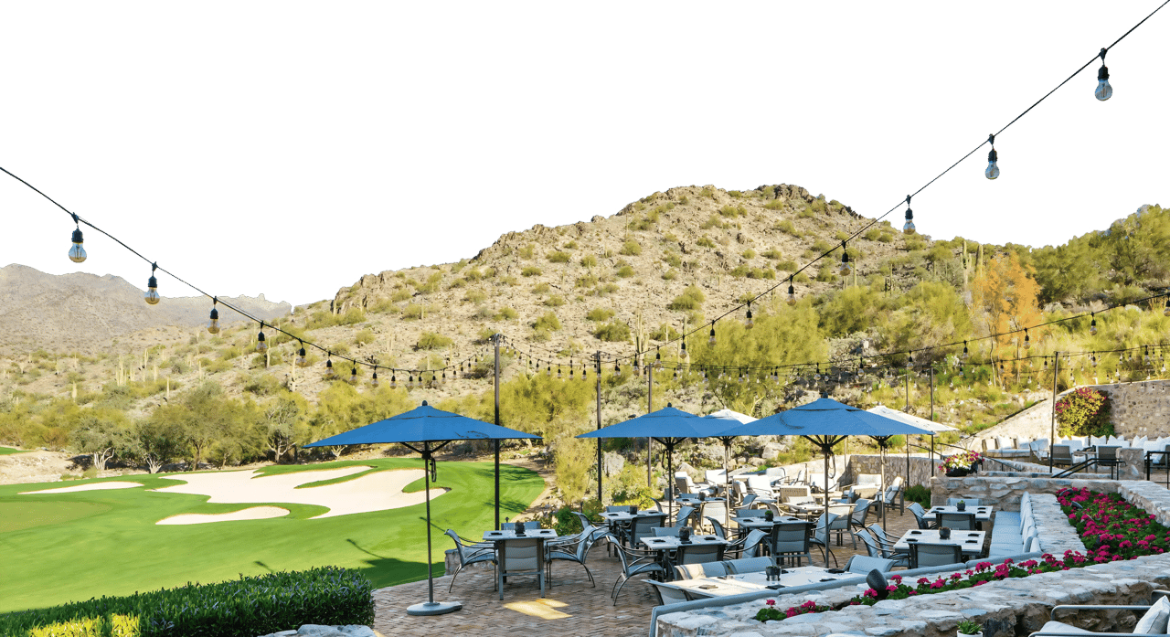 Silverleaf