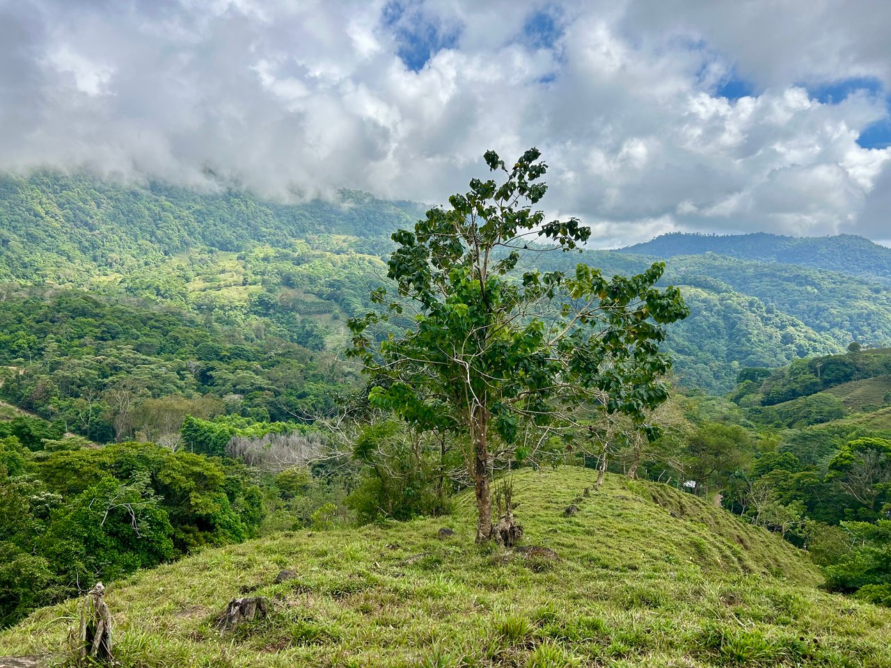 Gorgeous Land in San Luis Morete - Uvita - Over 17 Acres