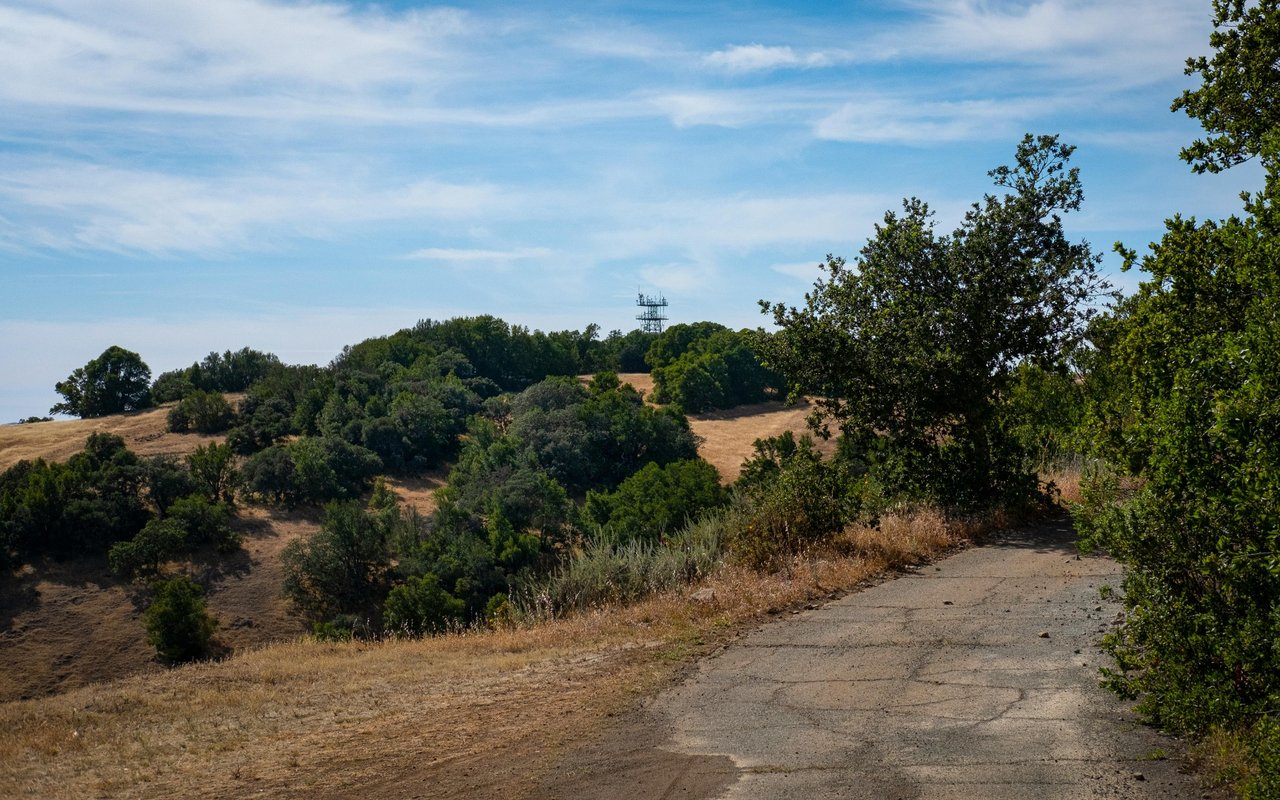 Essex Hills