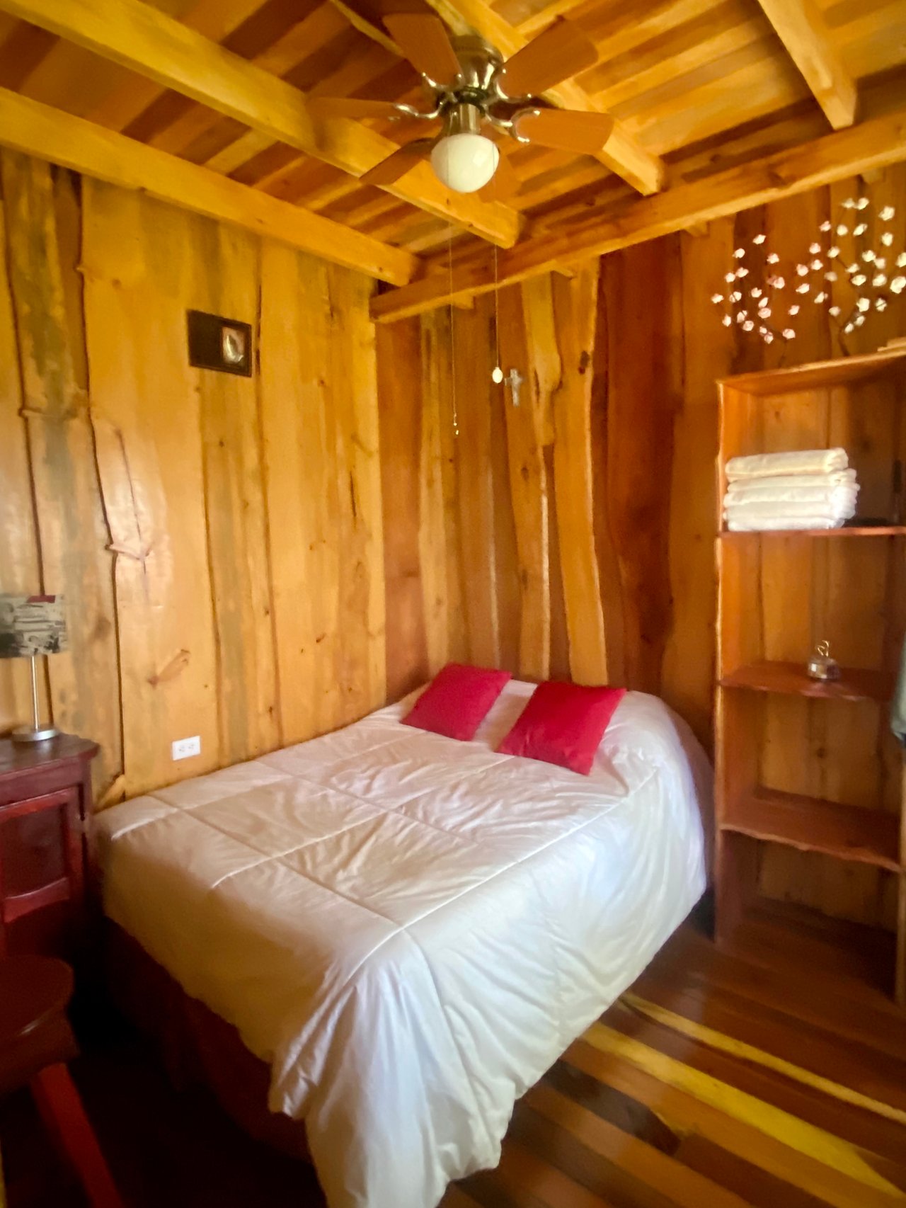 54 Acre Ranch in San Vito, Coto Brus