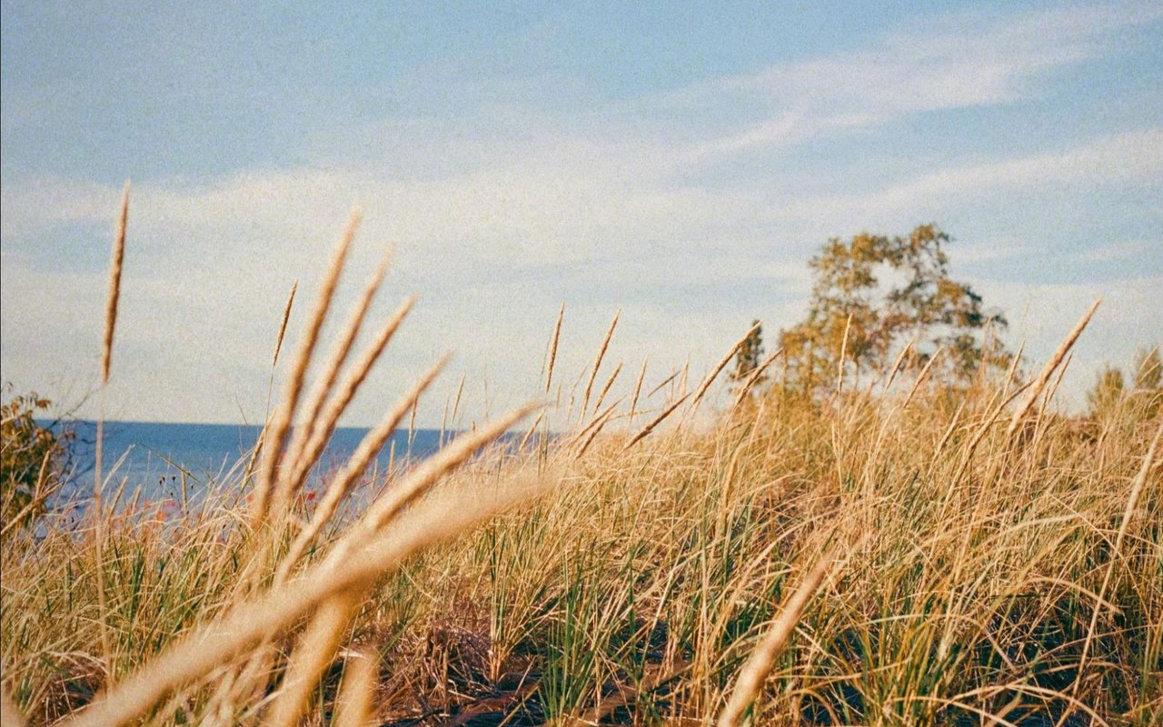 A Guide to Neighborhoods in Hilton Head Island, SC