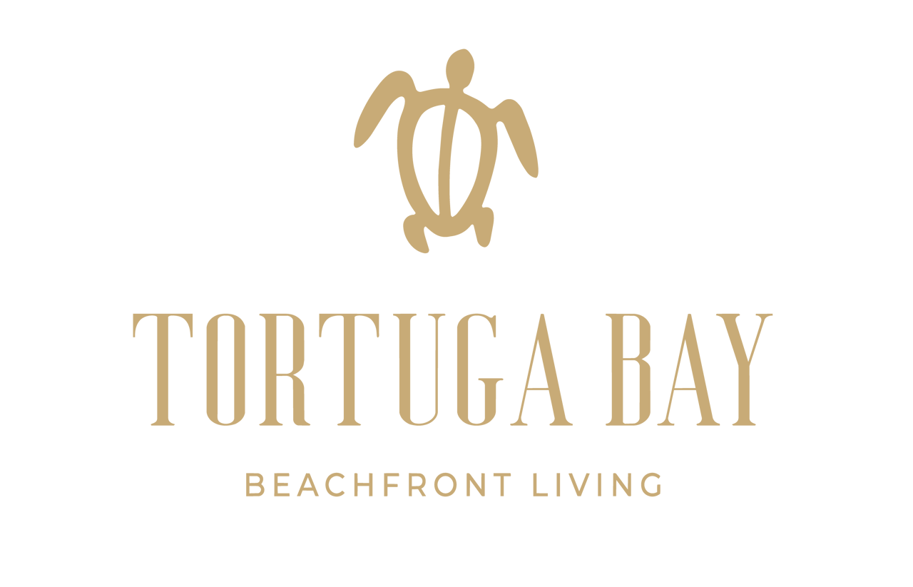 Tortuga Bay Phase II