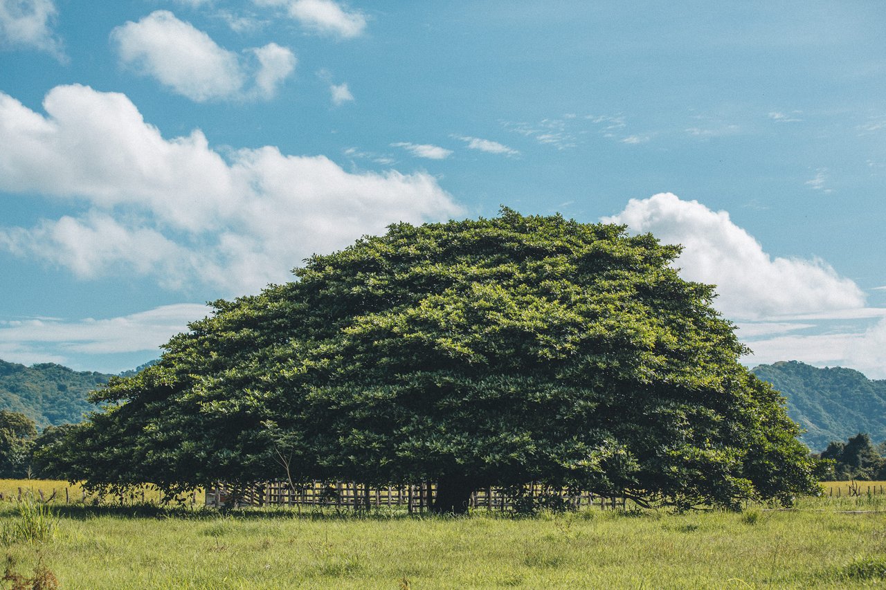  Punta Sabana & Mar Serena