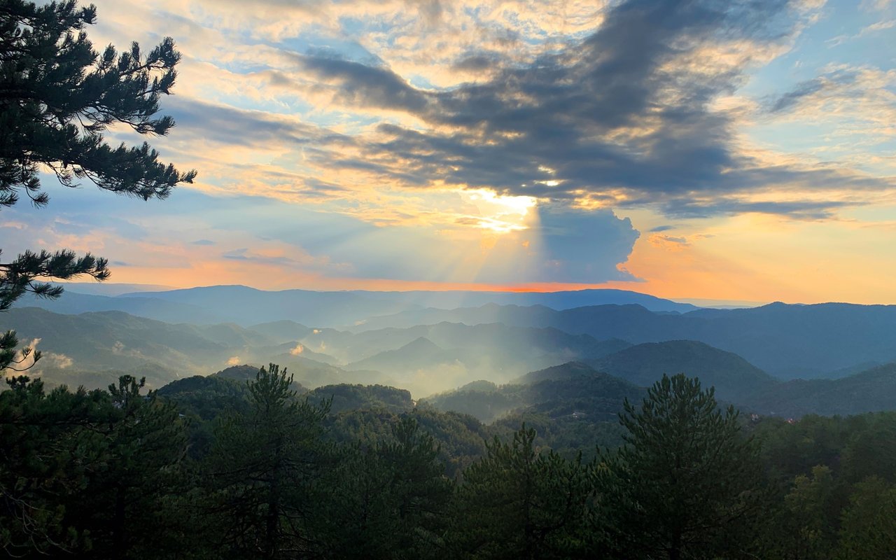 Layered forested mountains beneath a golden sunset sky, framed by pine branches.