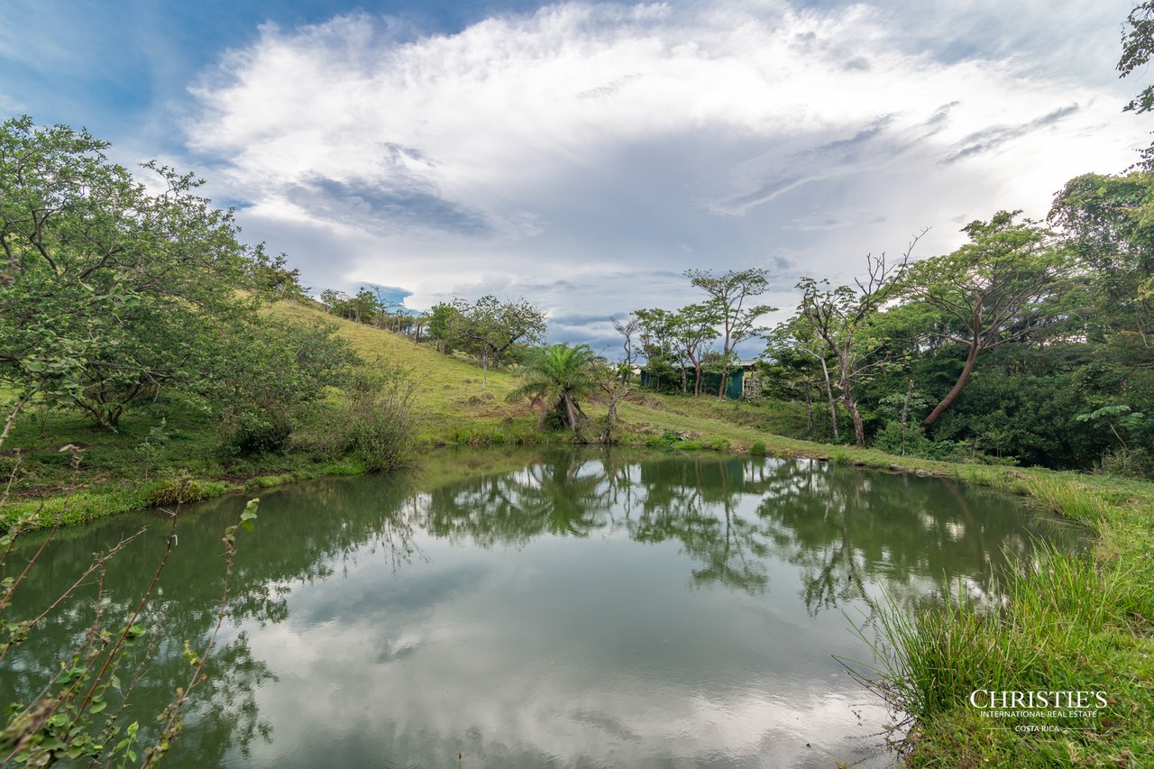 Origins Mineral: A Rare Landholding in Guanacaste’s Volcanic Highlands