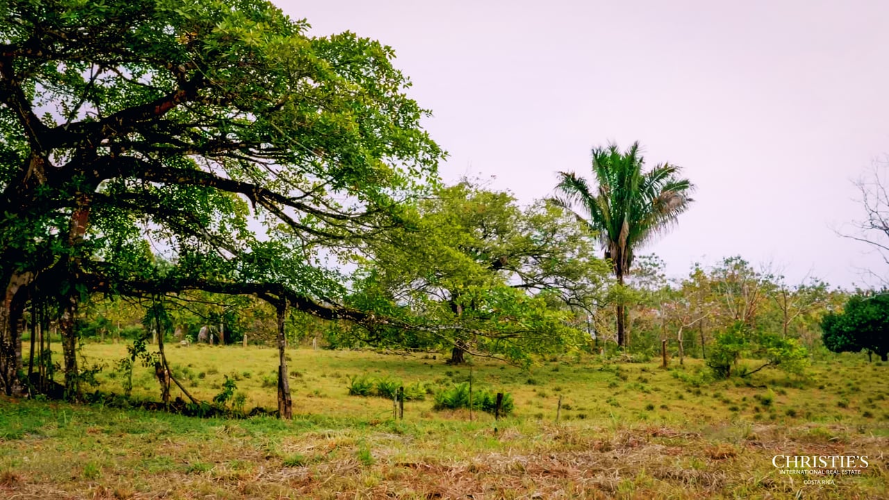 Blossom Hill Parcel in Santa Teresa