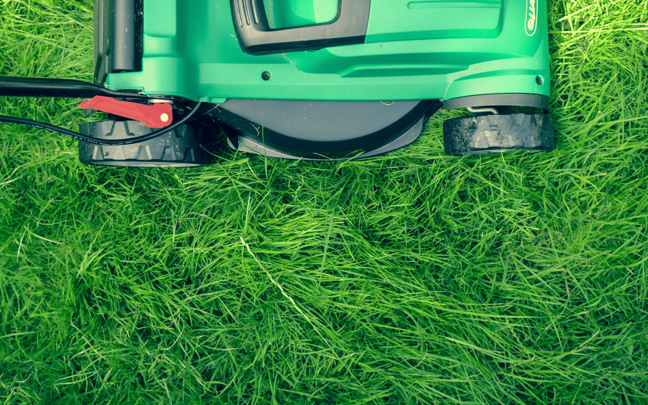 Make Summer Landscaping Easier With These 6 Tips