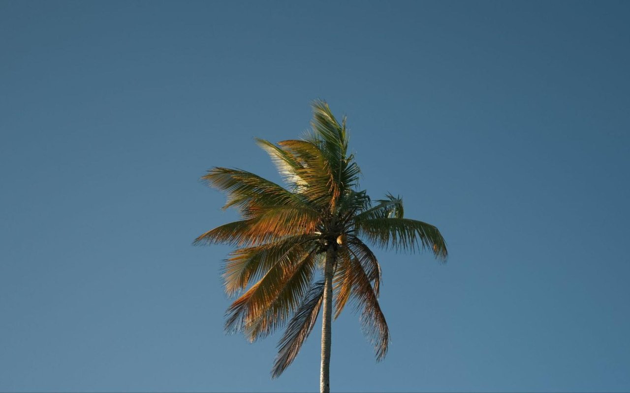 Buying a Home in Sandestin: What to Know Before You Start