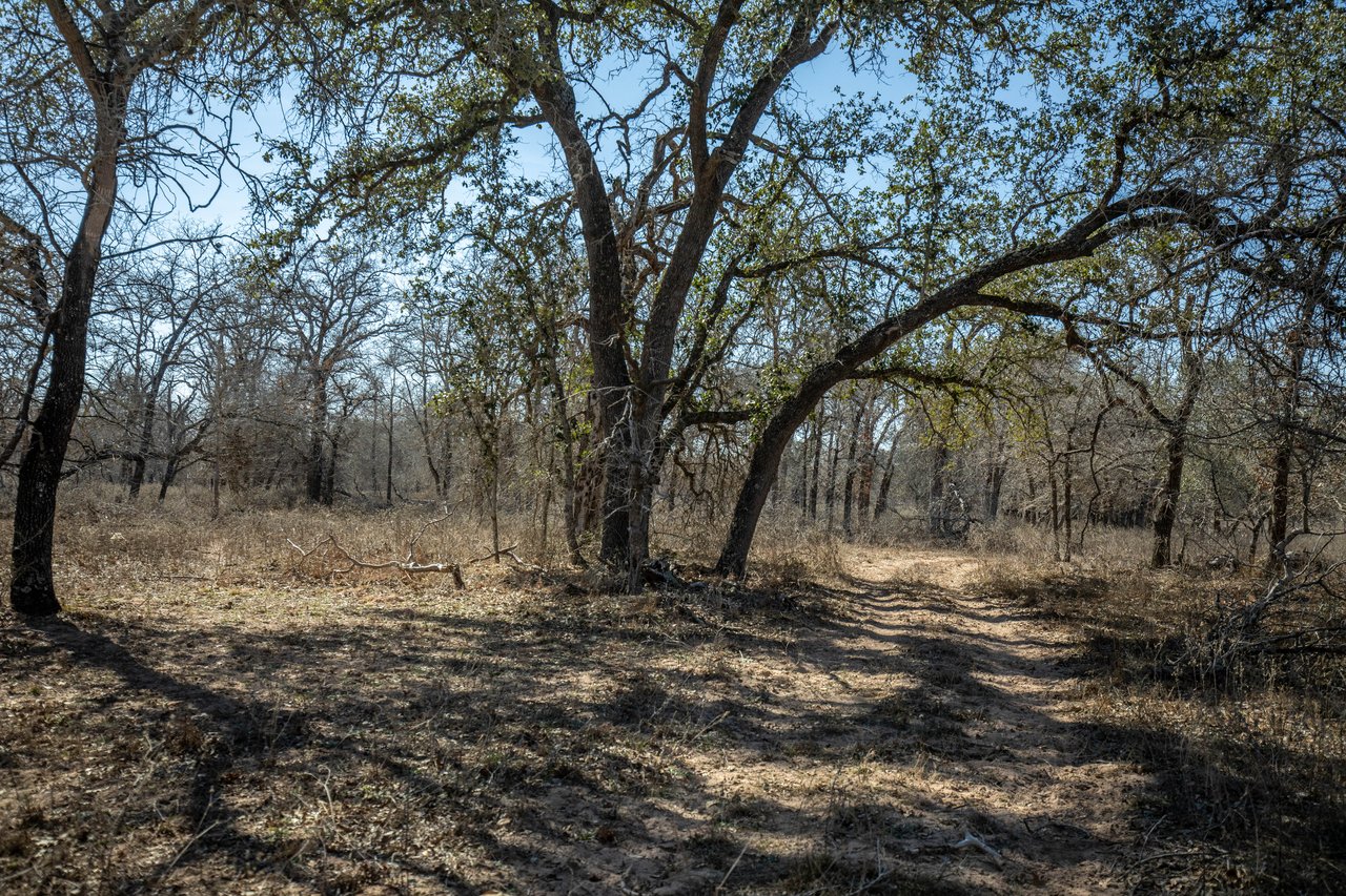 Whispering Pines Floresville Ranch | 298± Acres | Wilson County