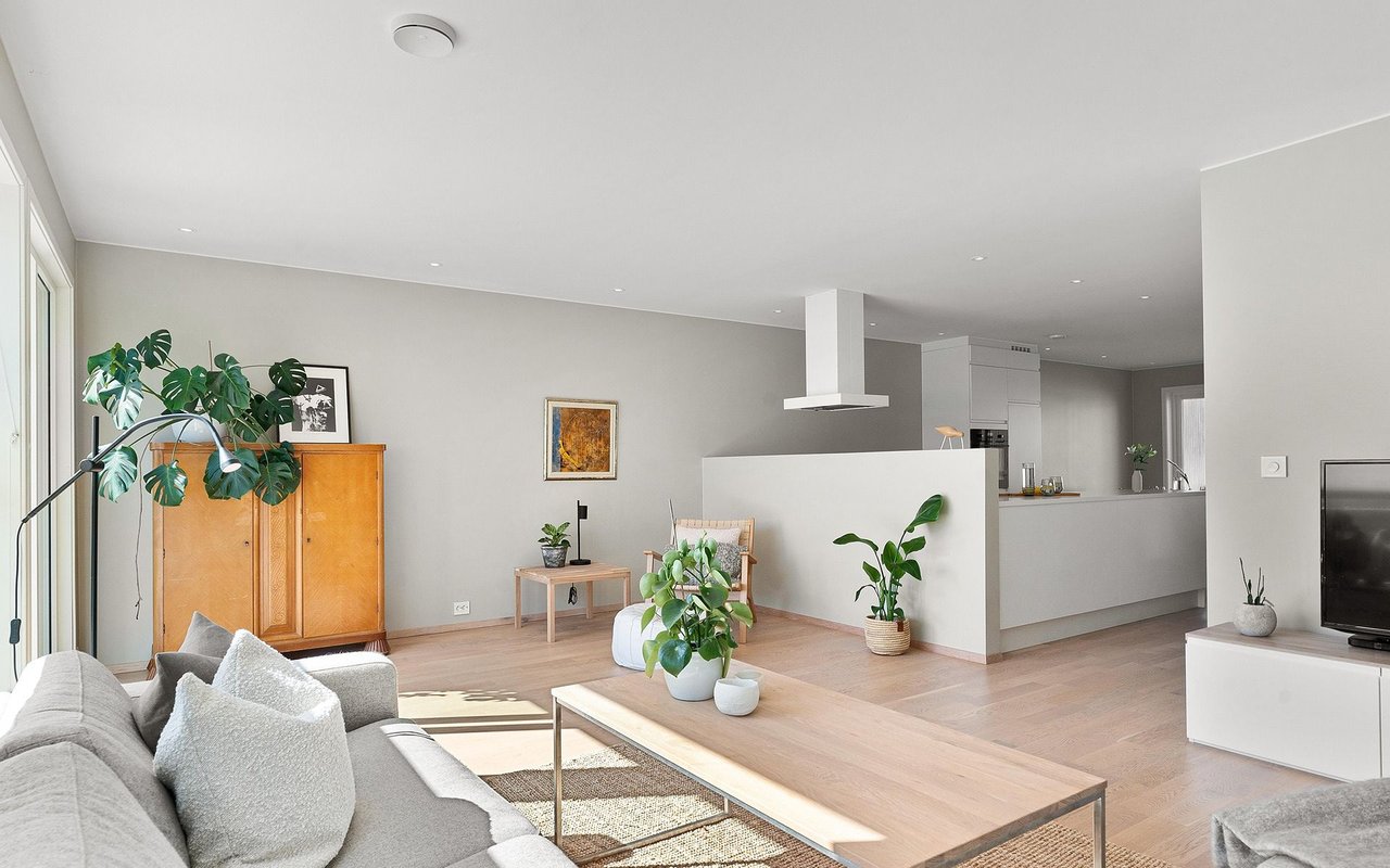 Open-plan living room with gray sofa, pale wood floors, and leafy plants beside the kitchen.