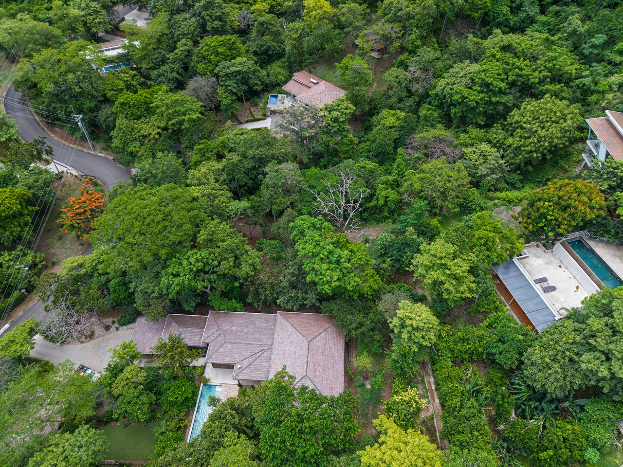 Lot 24 Cara Cara | Exceptional Forest Homesite in Las Ventanas de Playa Grande