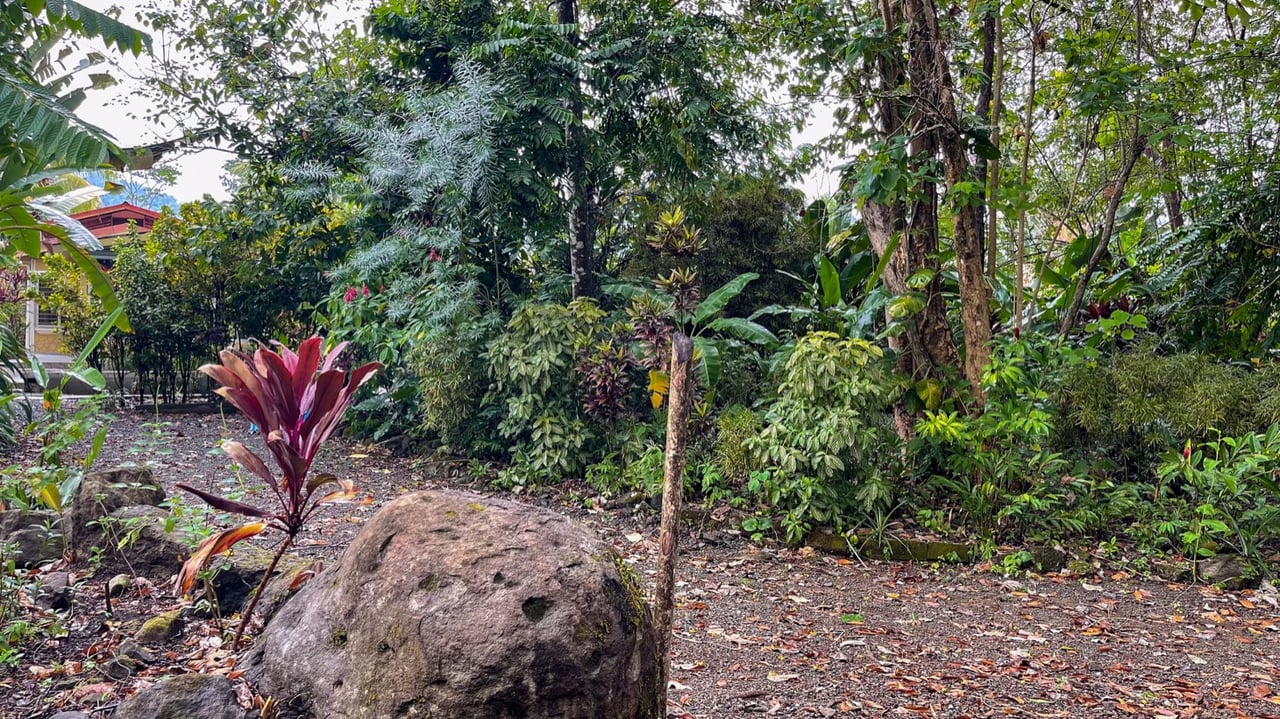 Cozy Colonial Home with Lush Gardens and Prime Commercial Prospects