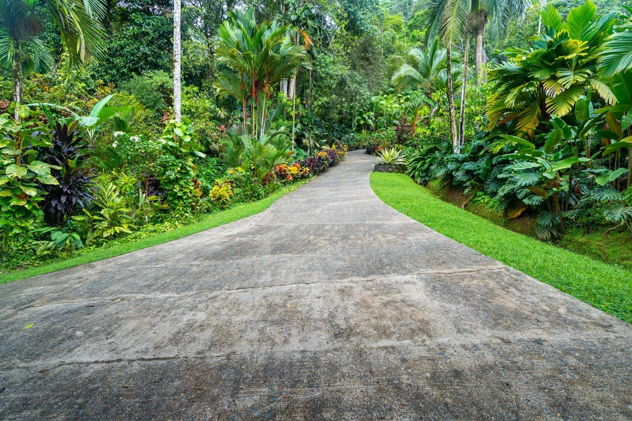 Ocean, jungle & mountain views on a meticulously landscaped 3-home family compound