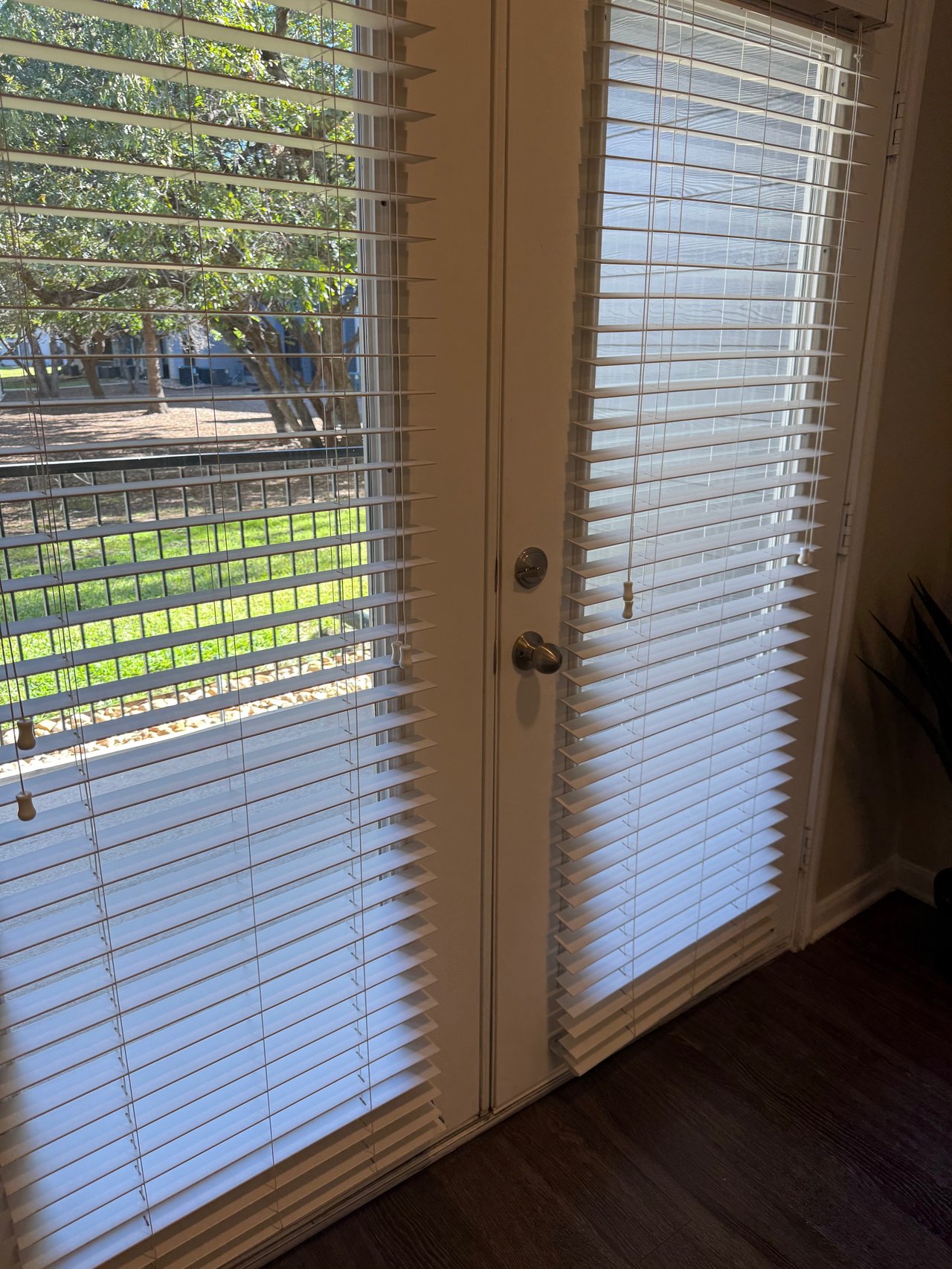 Luxury 2 bed 2 bath in North Austin