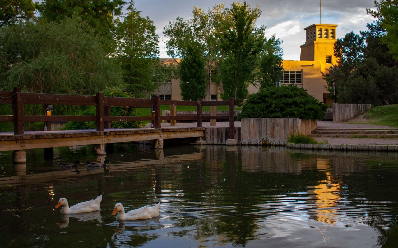 University of New Mexico